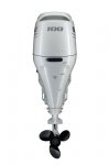 df100btl-rc-white-back-from2021my.jpg