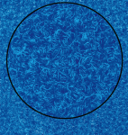 electricblue.png