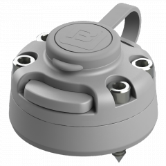 fmbg-3.png