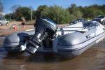 gladiator-rib-270-6.jpg