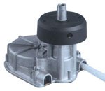 t85-001.jpg